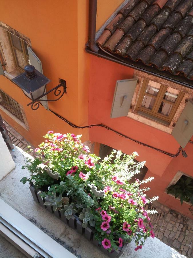 Studio Yellow Flower Ровинь Экстерьер фото